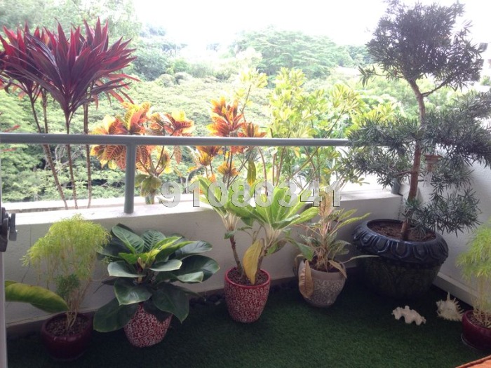 Clementi Park (D21), Condominium #1042732